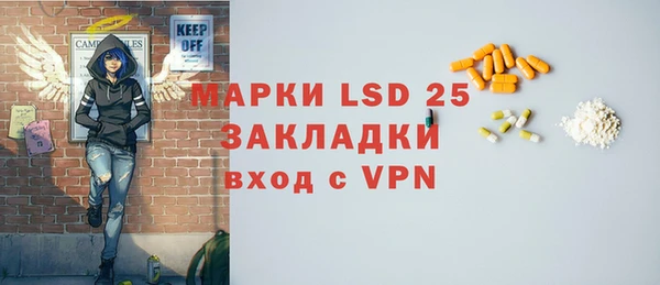 хмурый Няндома