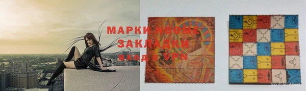 хмурый Няндома