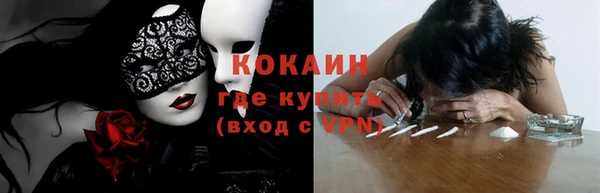 хмурый Няндома