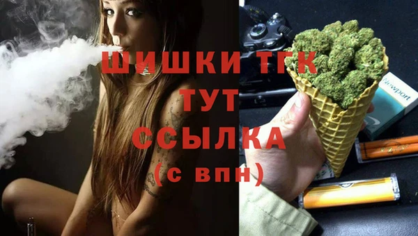 хмурый Няндома