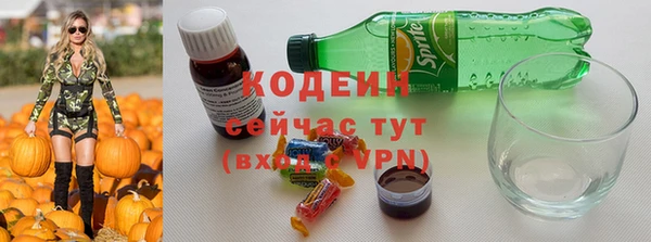 хмурый Няндома